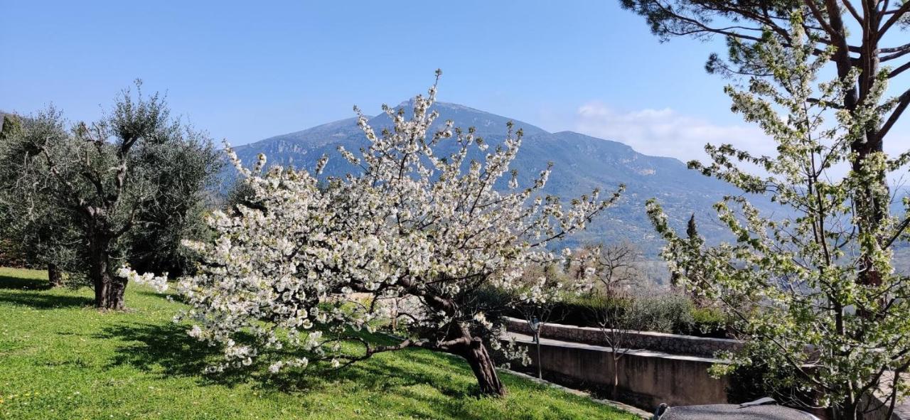 Loup Castel Boutique Hotel B&B Le Bar-sur-Loup Bagian luar foto